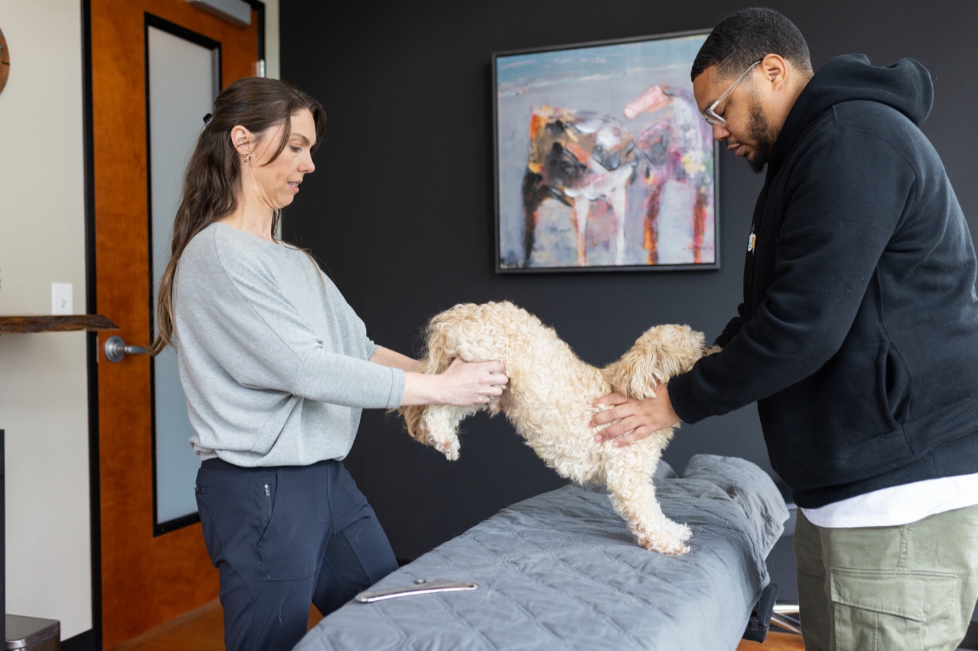 Dr. Whitney performing a chiropractic adjustment on a small dog