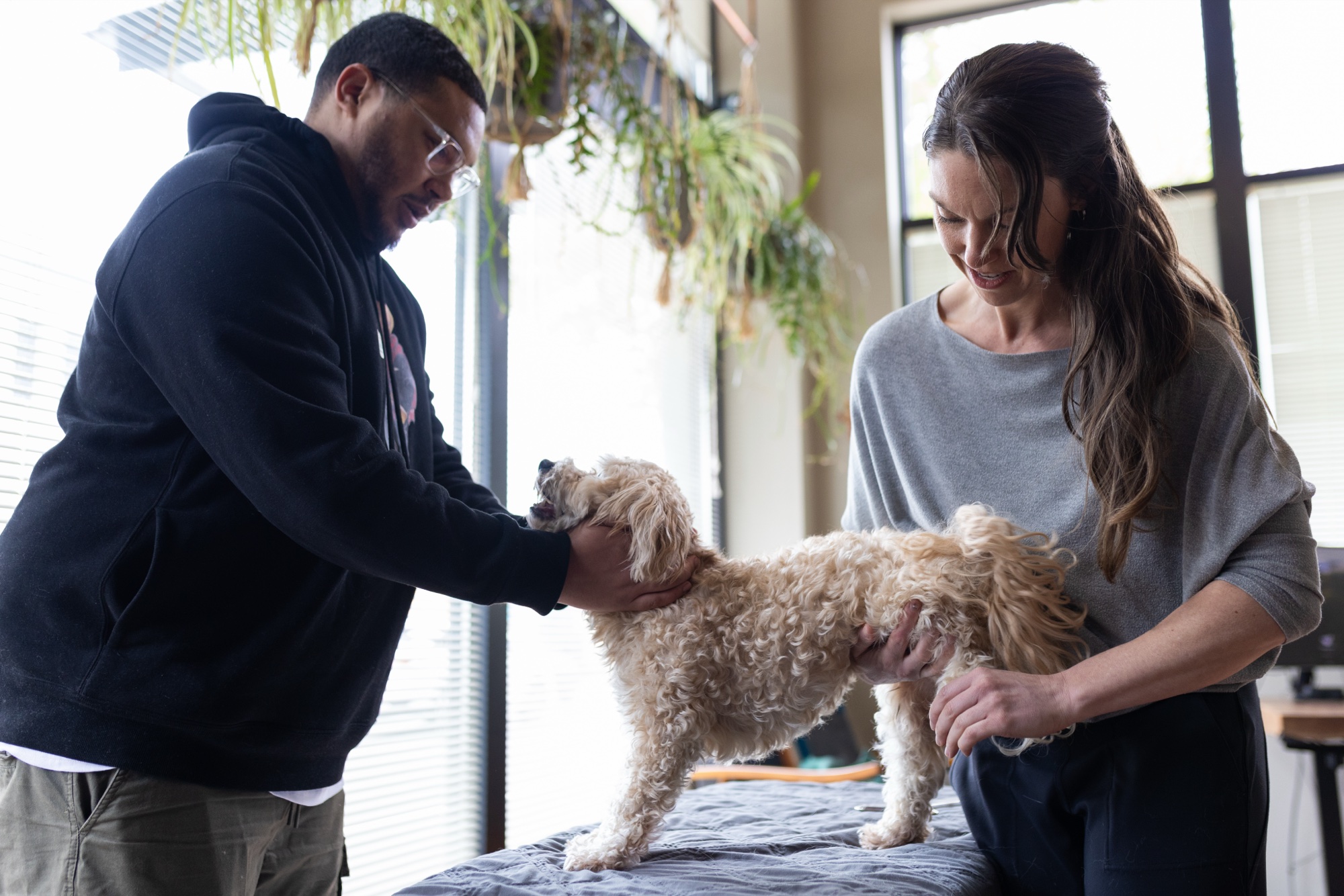 Dr. Whitney with a small dog and its owner during a chiropractic visit at the Move Better Portland clinic